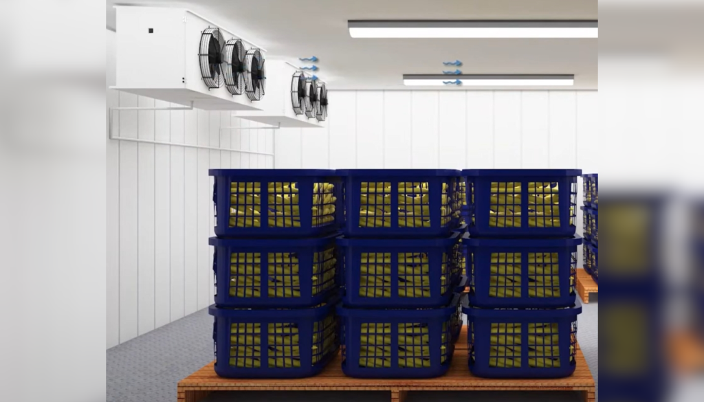 PUF Panel Banana Ripening Chambers_Maks
